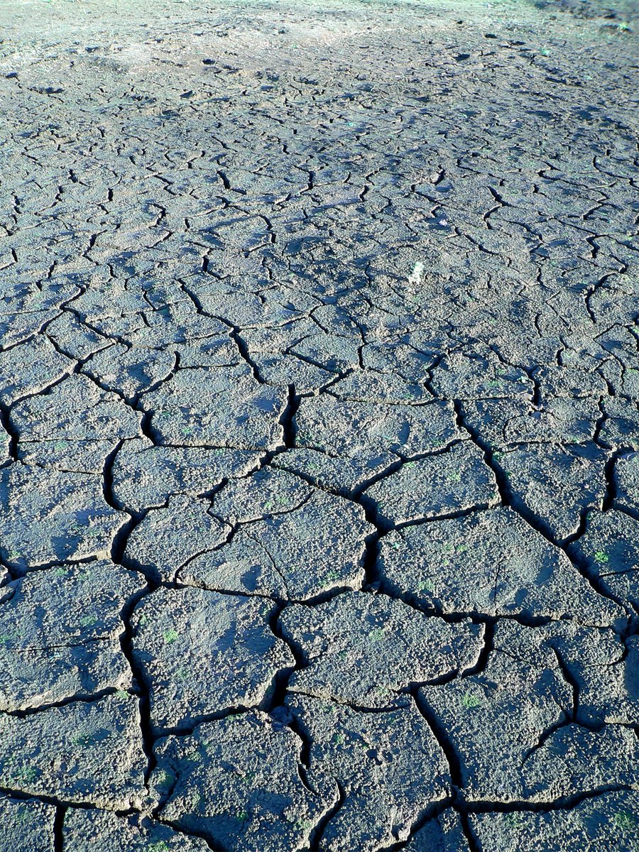 the ed surface of an icy ice covered pond