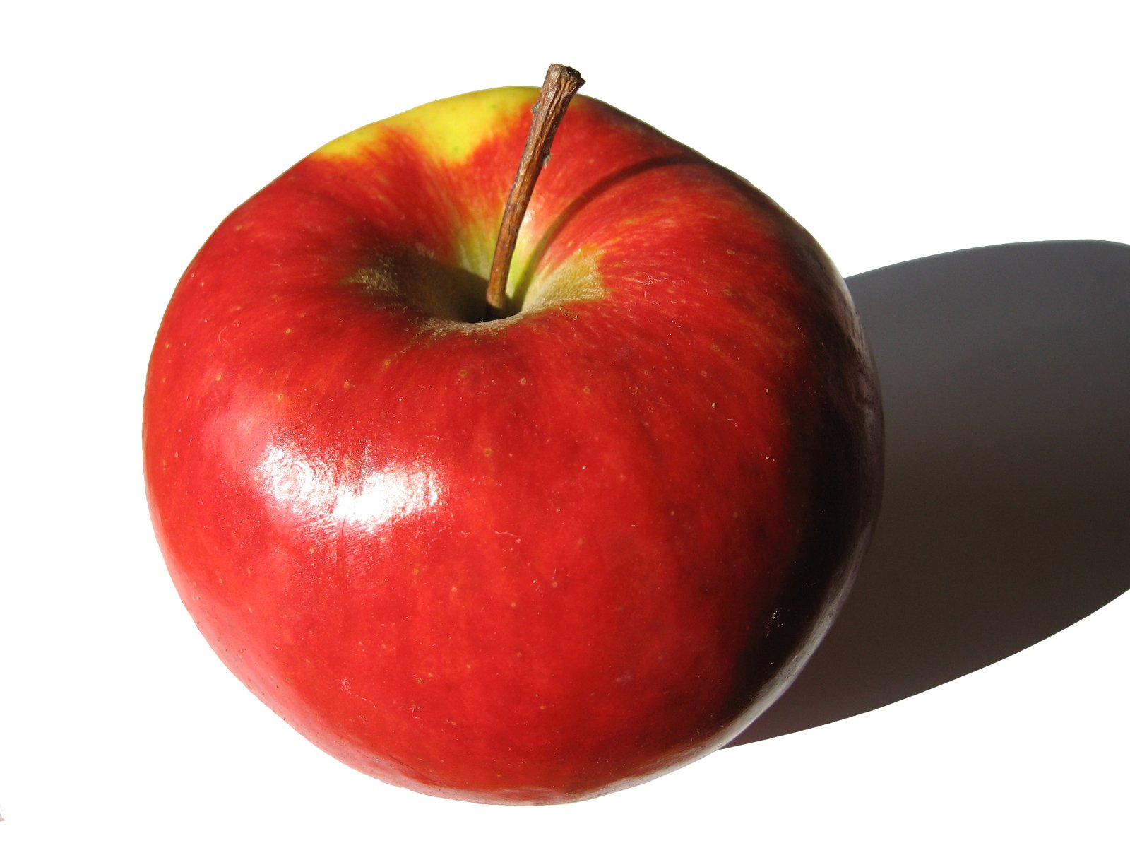 an apple casting a shadow on a white background