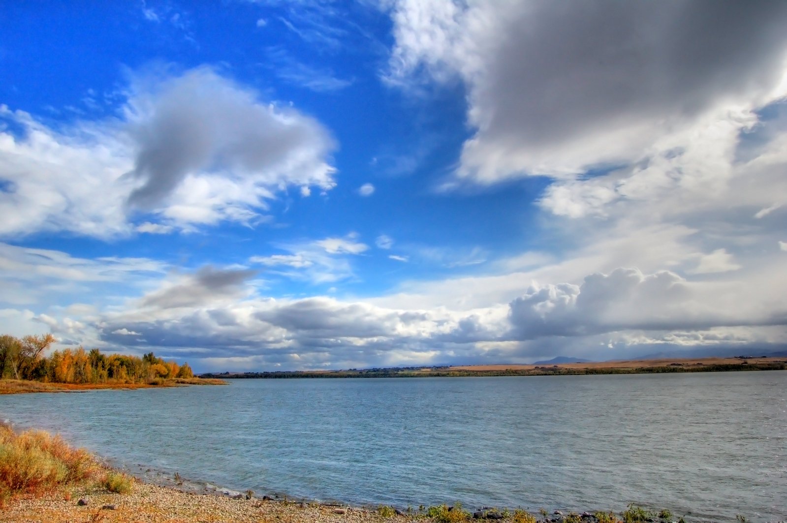 a view from a beach with water and trees