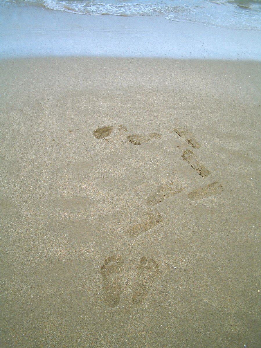 footprints of two people and dog on a sandy beach