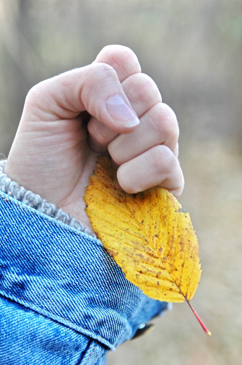 a close up of a person holding a leaf