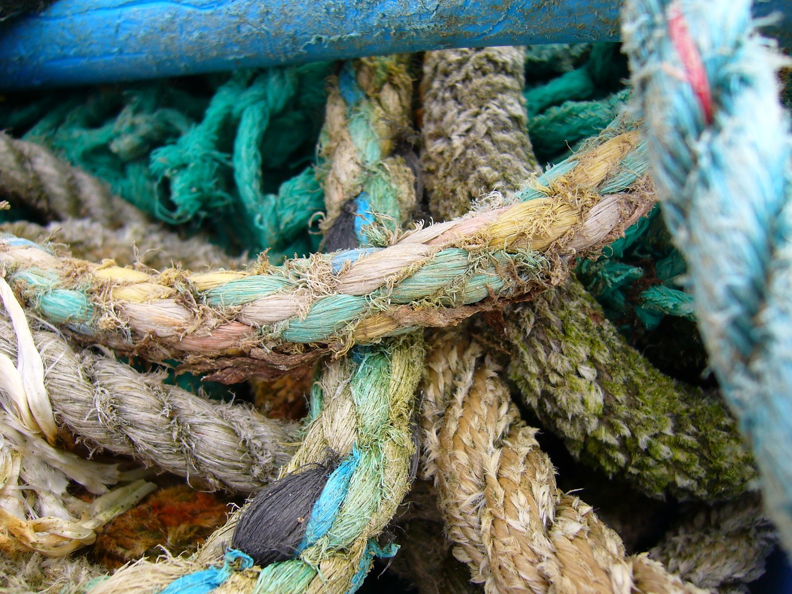 ropes that have been tied together inside a boat