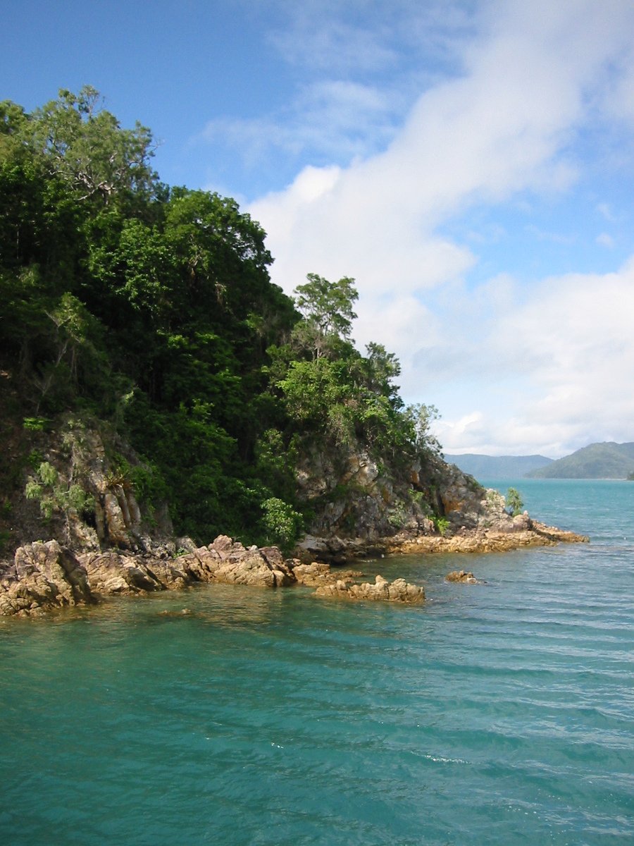 a body of water sitting next to some trees