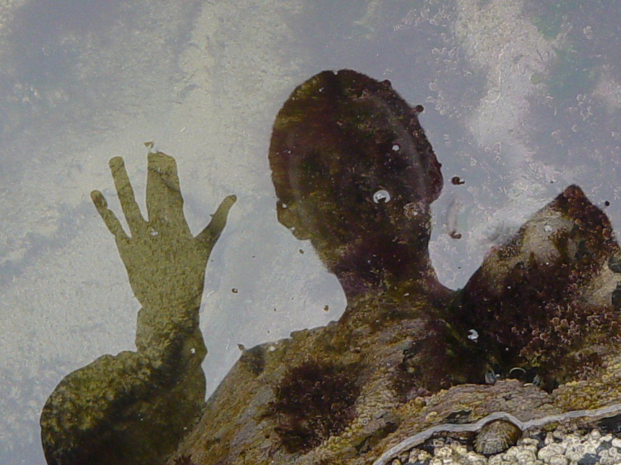 two hands and a person's reflection in a body of water