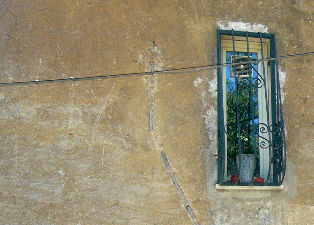 an iron window with a small potted tree in it