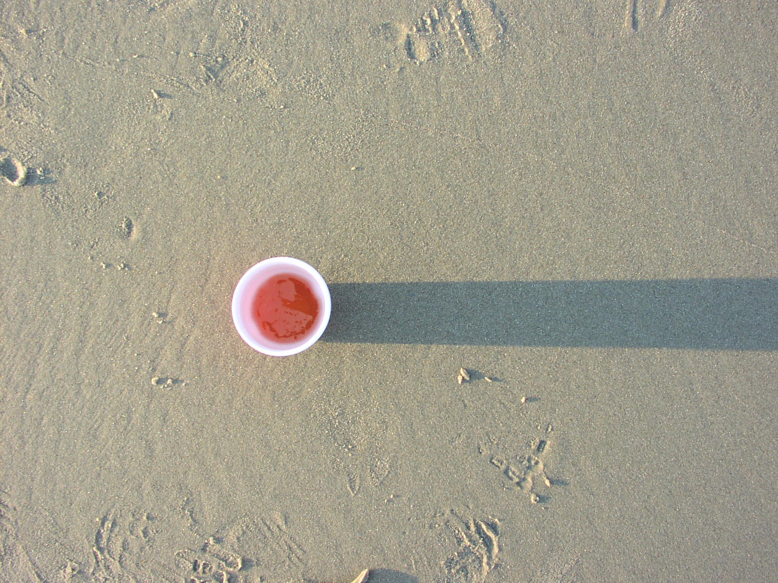 a white cup on a beach with footprints around it