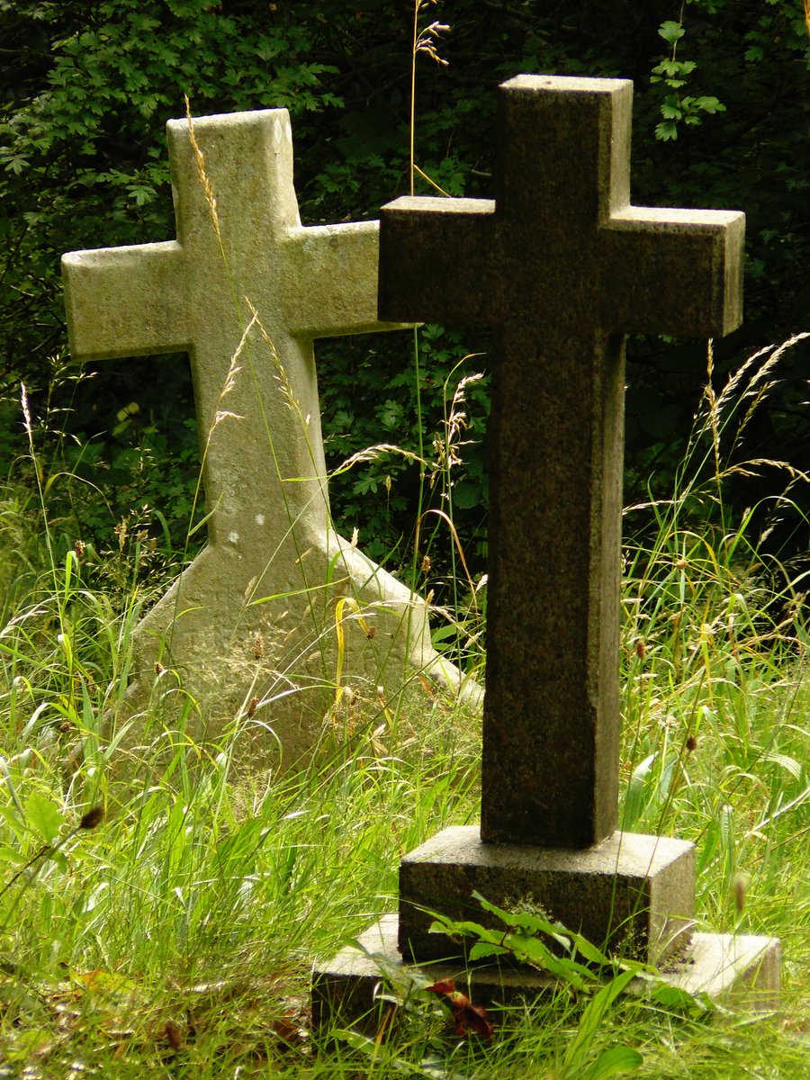 three graves in the grass at a cemetery