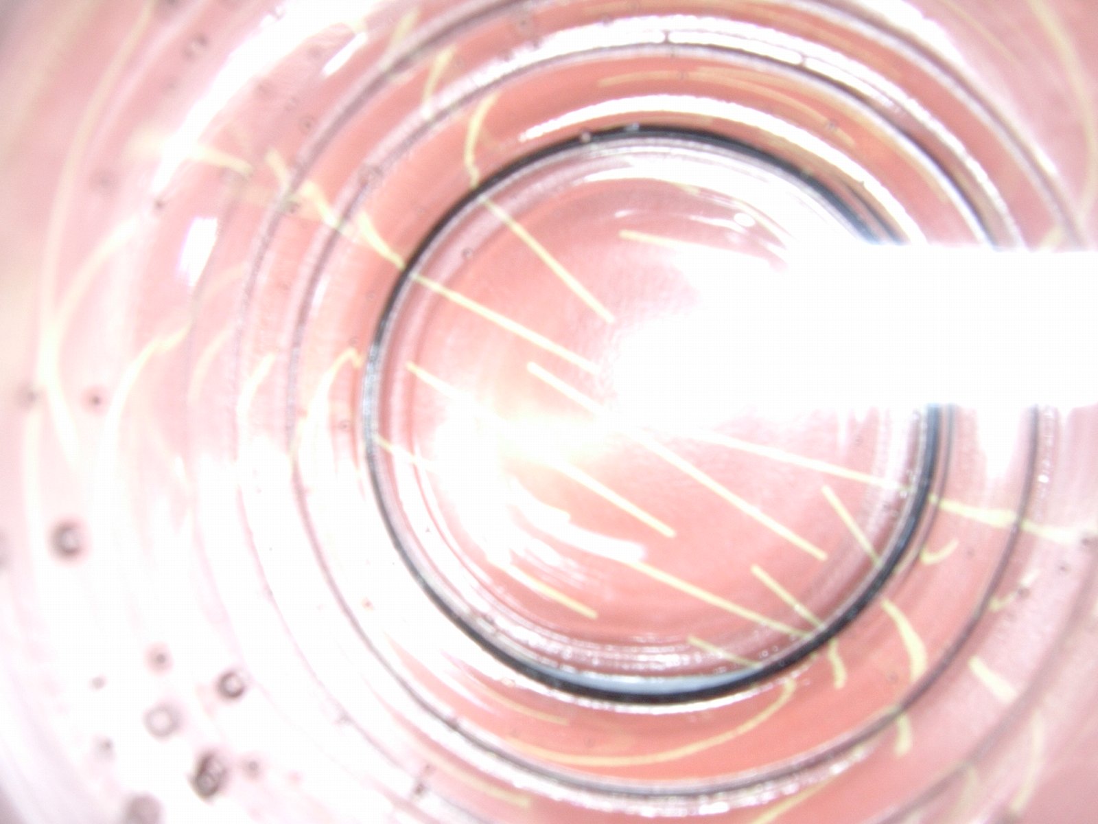 this is a close up view of a pink object