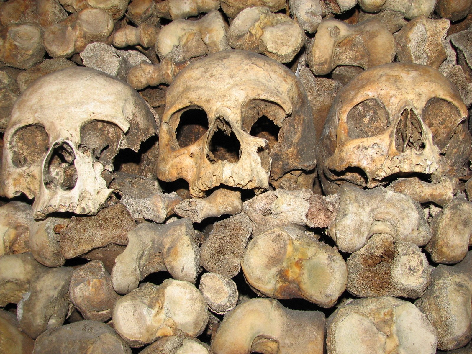 the skulls are stacked on a pile in an unusual location