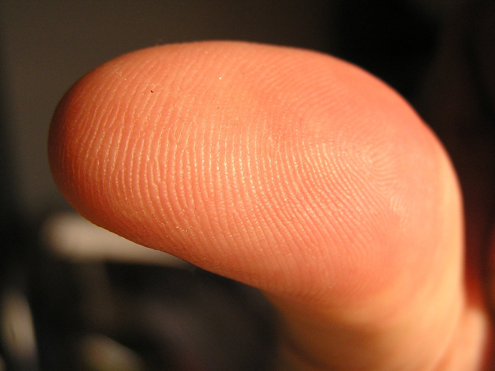 a fingerprint is shown with only one thumb visible