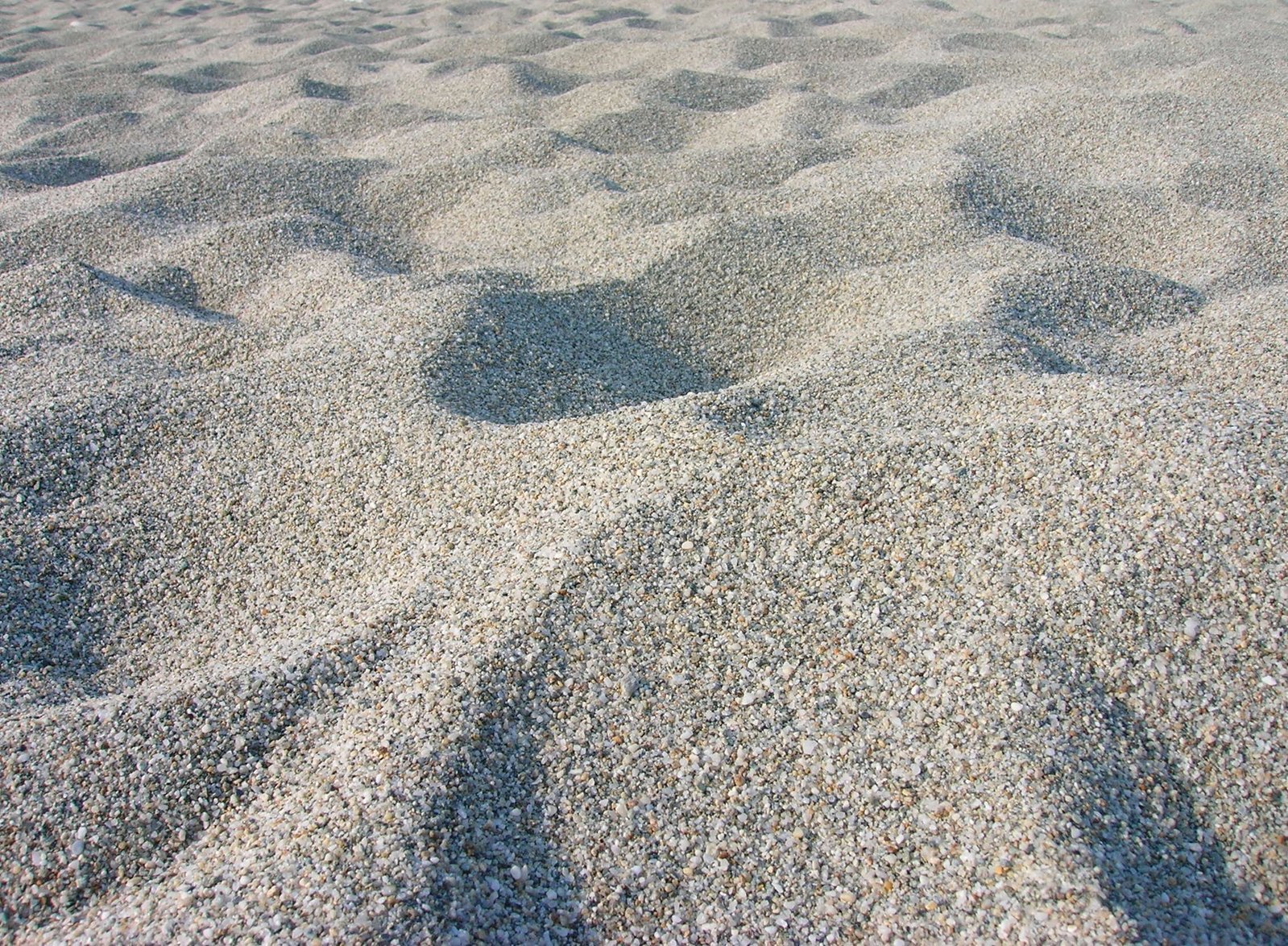 footprints on sand that are part of the beach