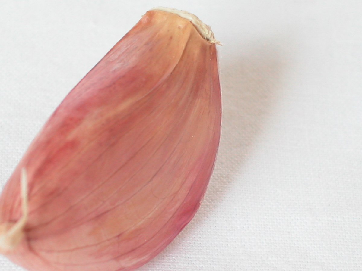 a bulb of an onion laying on a white surface