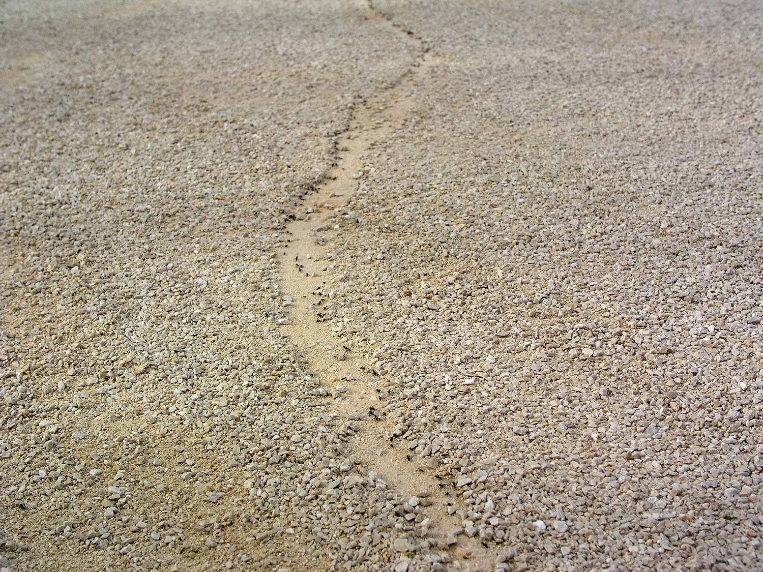 the side of a road with dirt on it