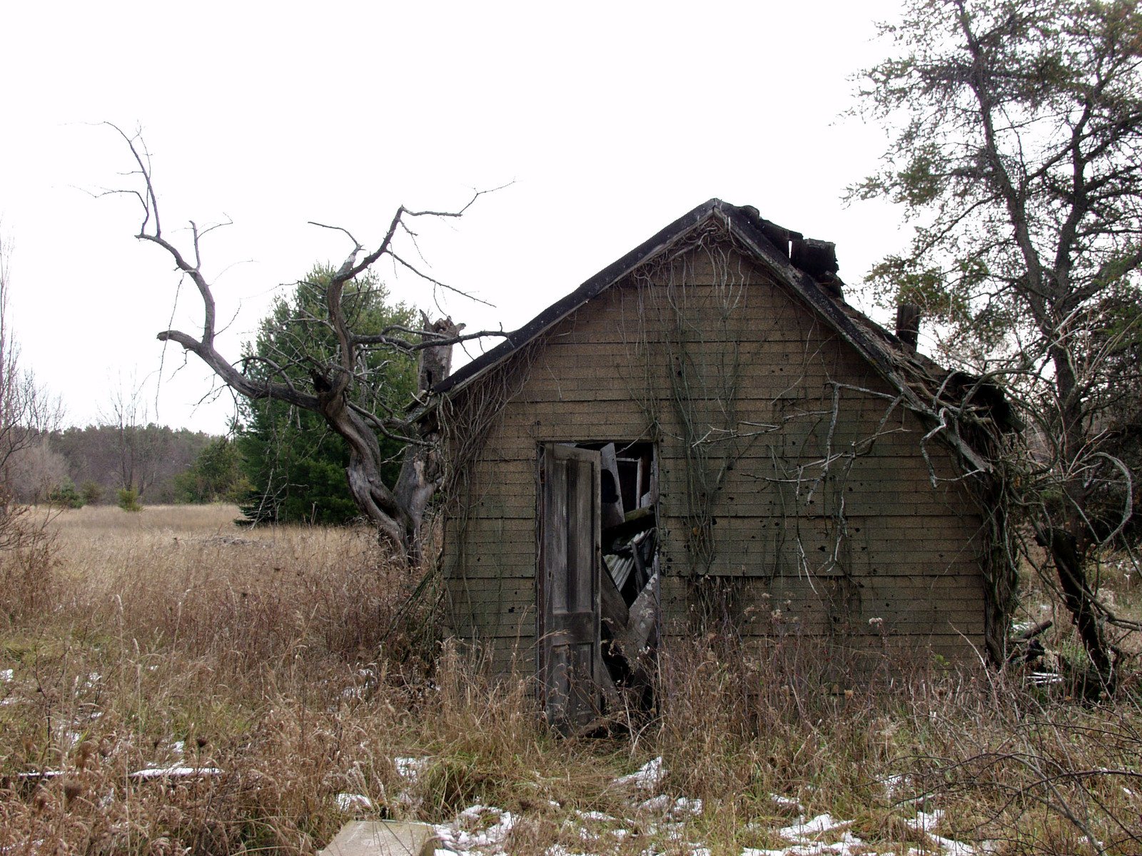 an old abandoned rundown shack with a broken window