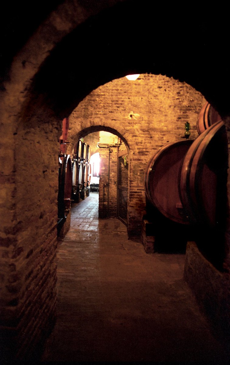 an underground wine cellar with a large group of wooden barrels