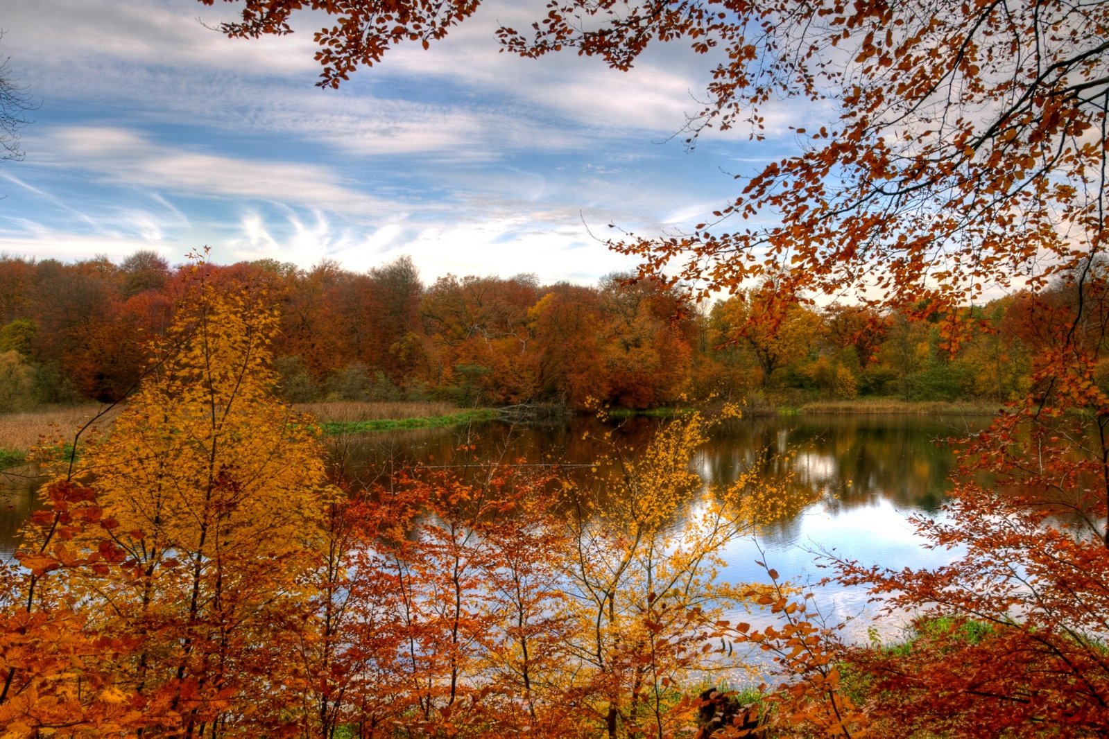 a body of water surrounded by fall colored trees