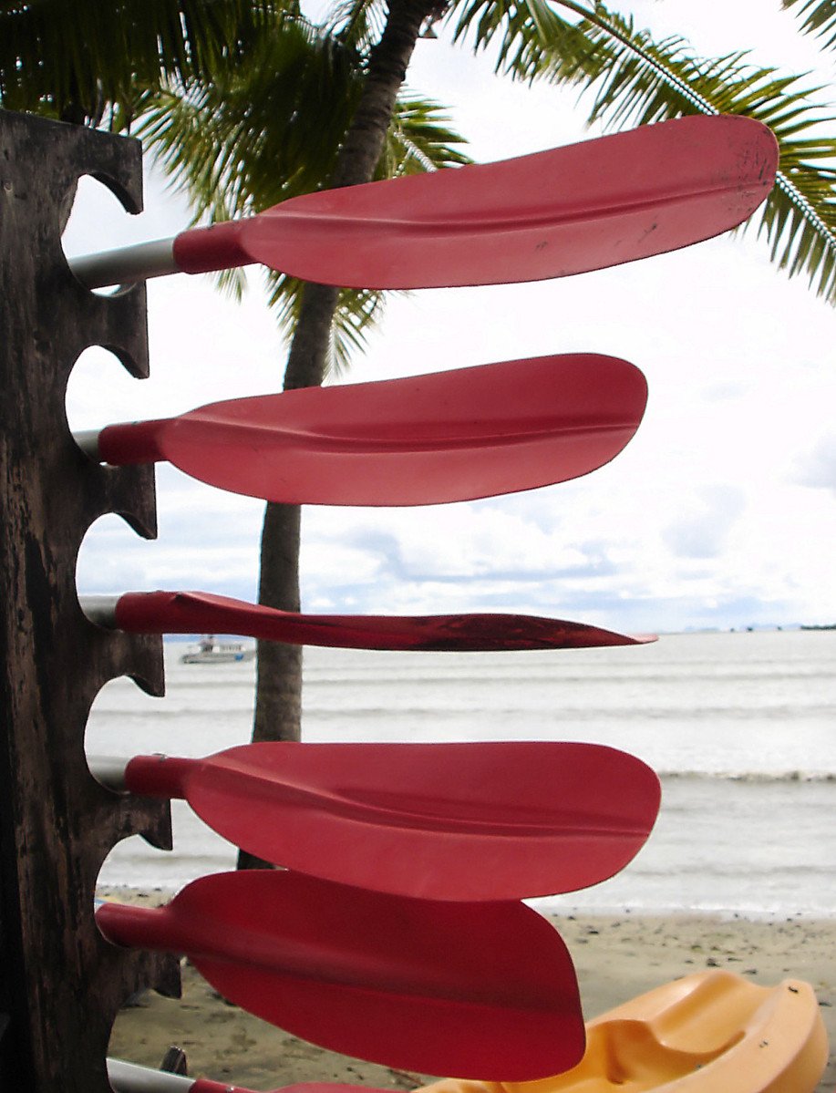 surfboards that are hanging near the ocean