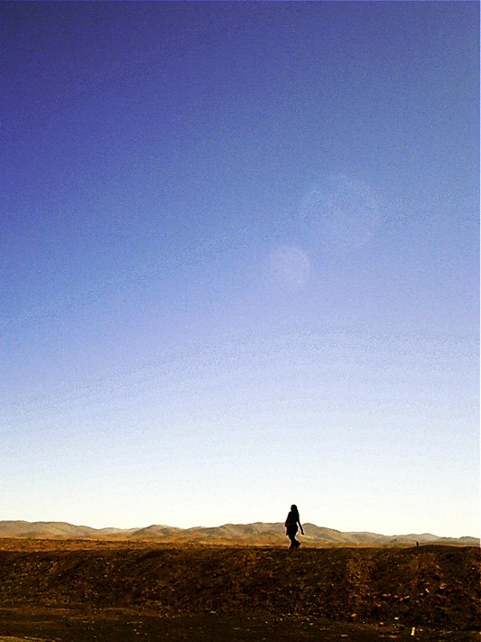 the person stands alone on the dirt with a kite