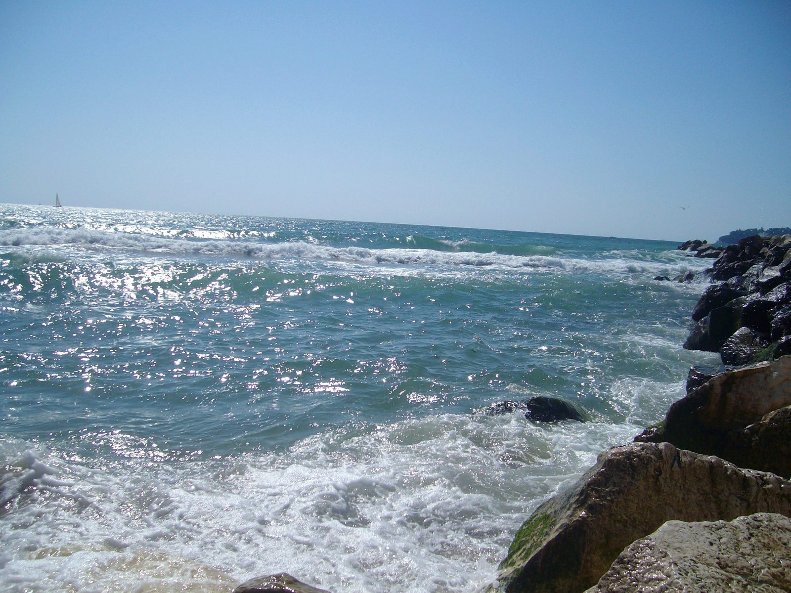 the surf at the ocean has waves crashing against the rocks