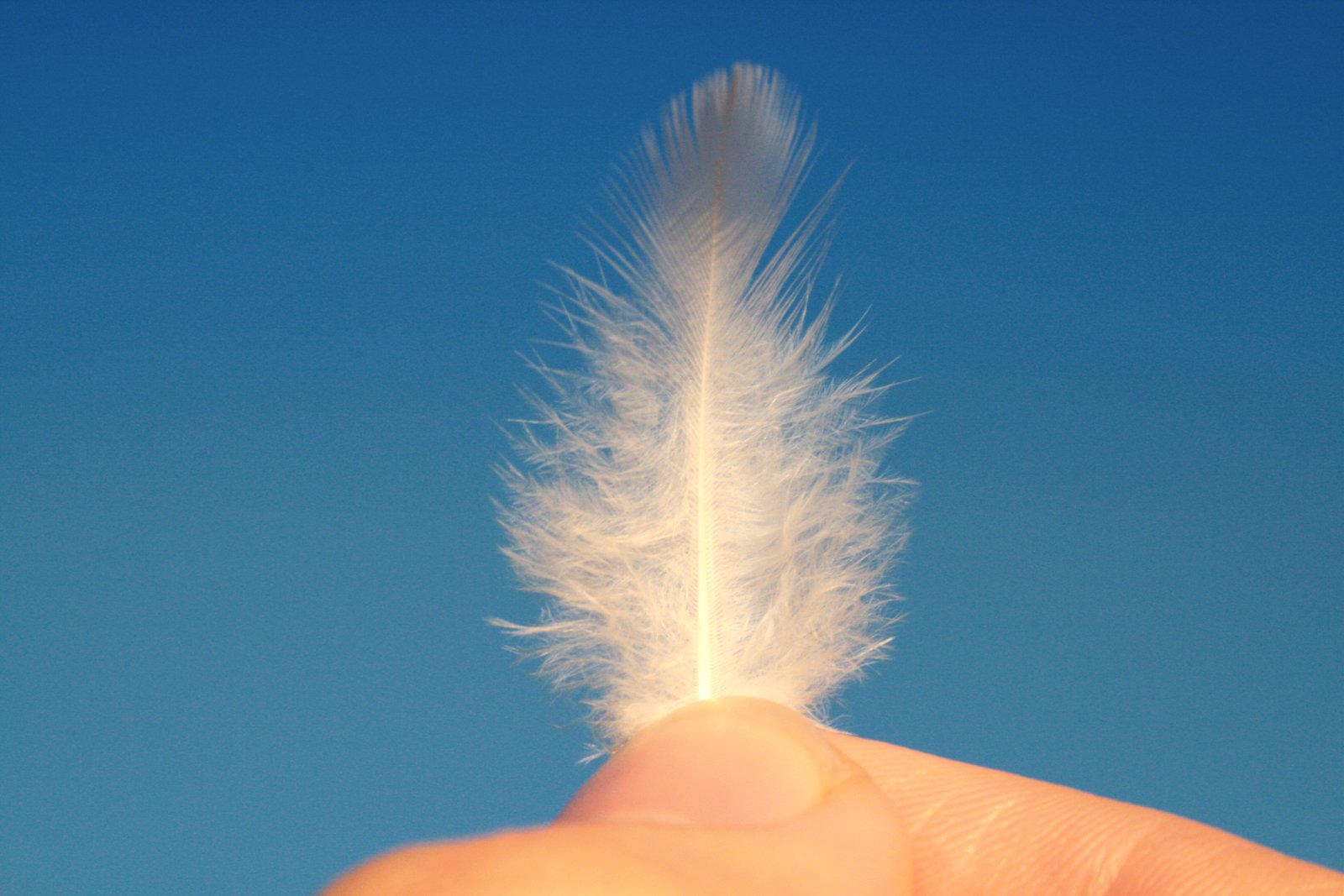 the person is holding out a feather to fly the kite in the air