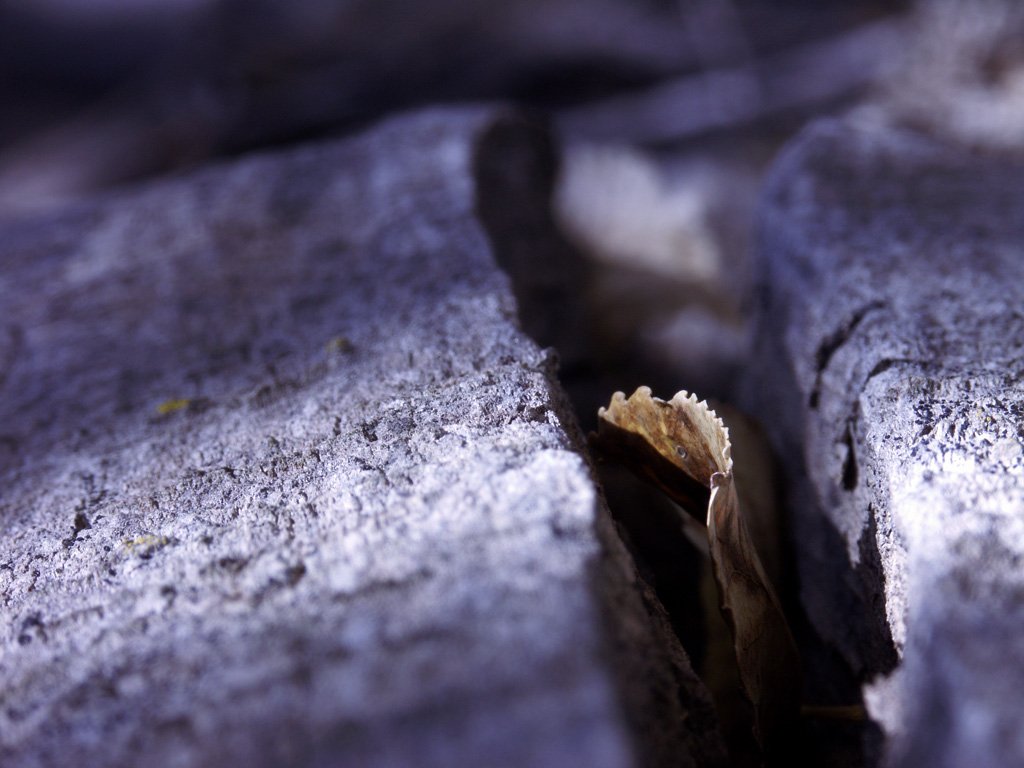 an old object is laying on some concrete