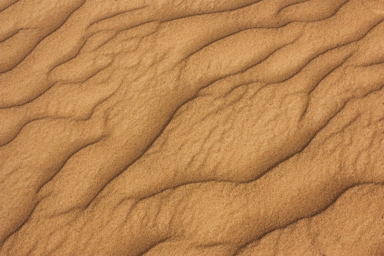 a very wavy pattern of sand or dirt on the beach