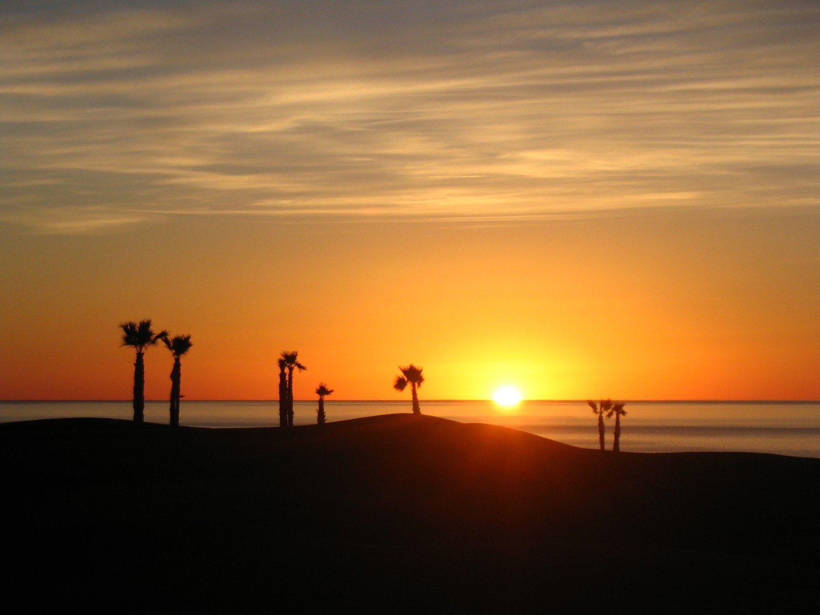 the sun is setting with palm trees and a beach