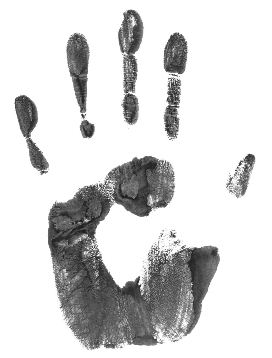 a black and white po of an animal paw