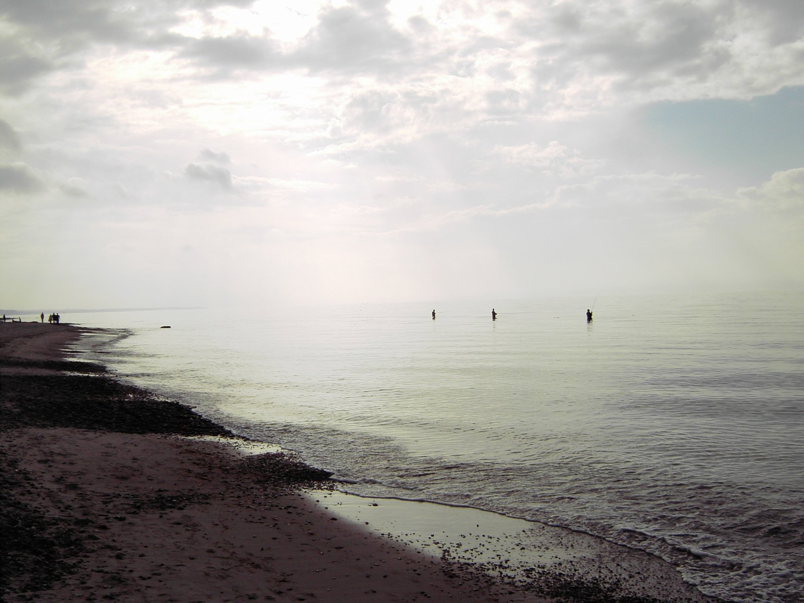 people walk in the water on a misty day