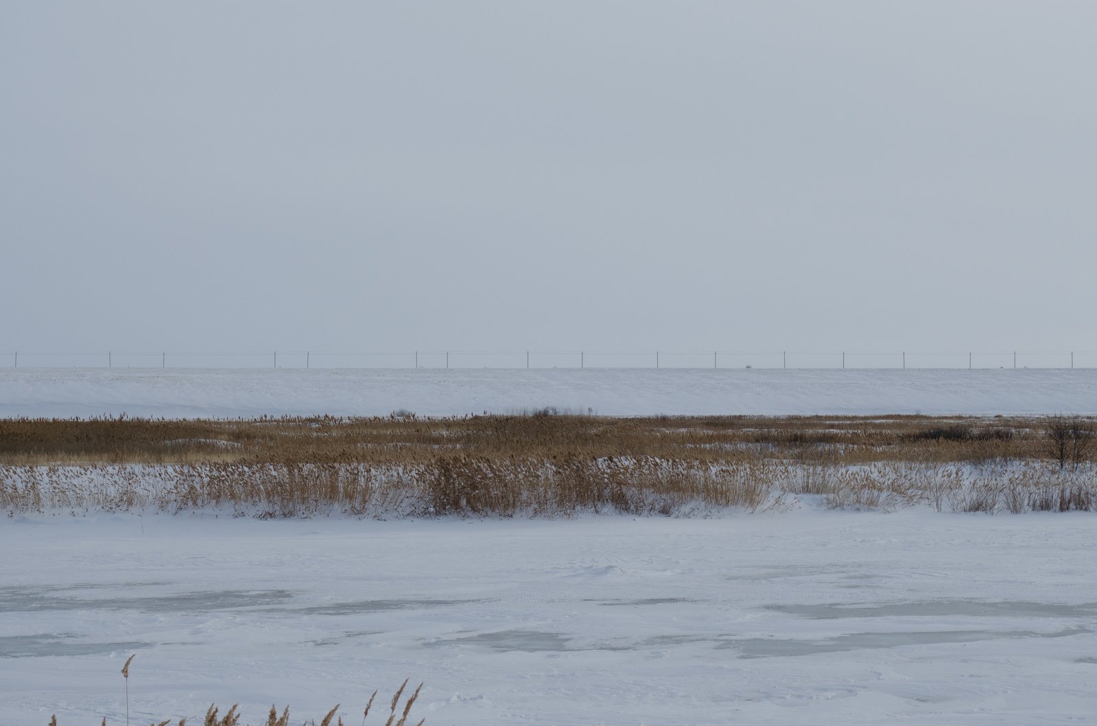 the snow is covering the ground and grass