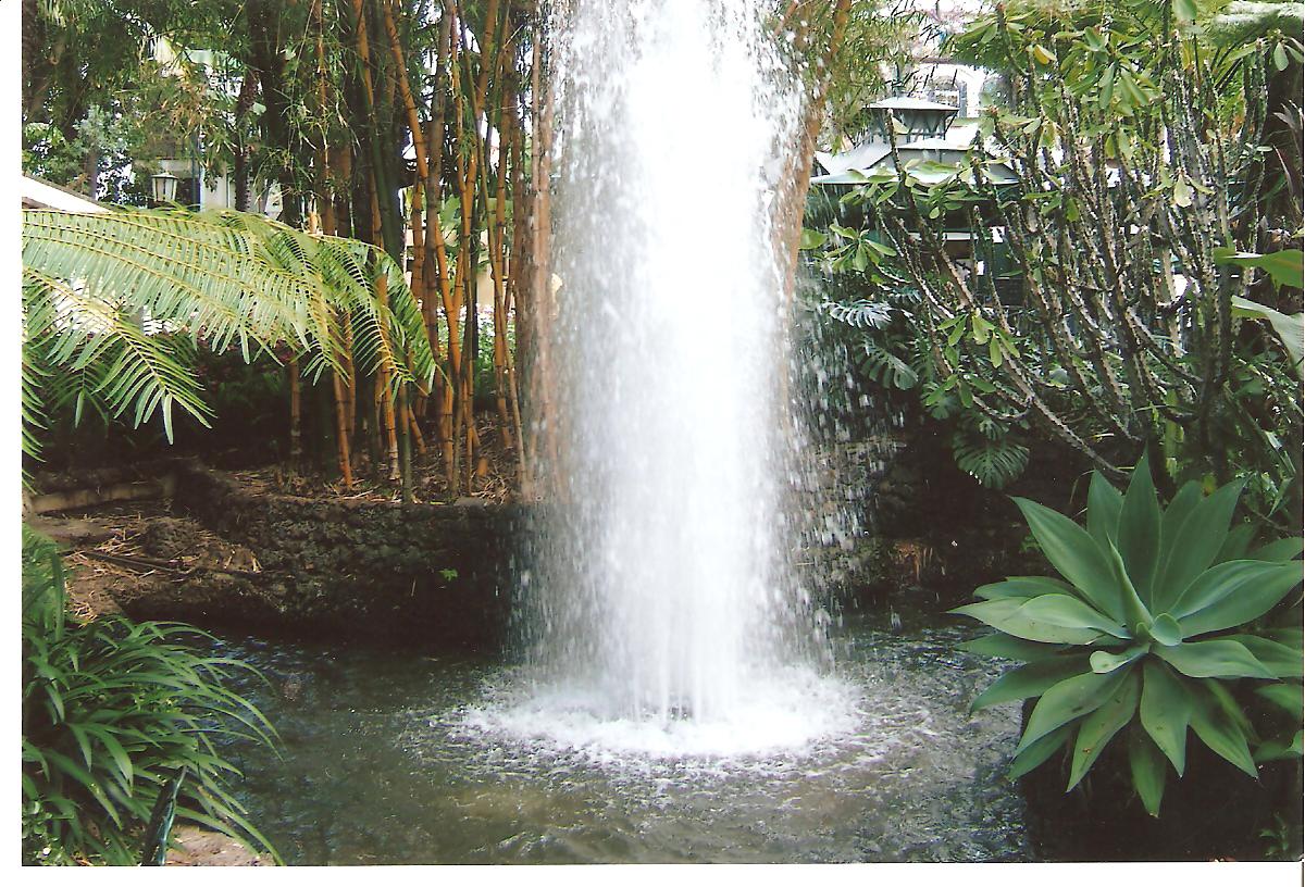 a po of a fountain surrounded by green plants