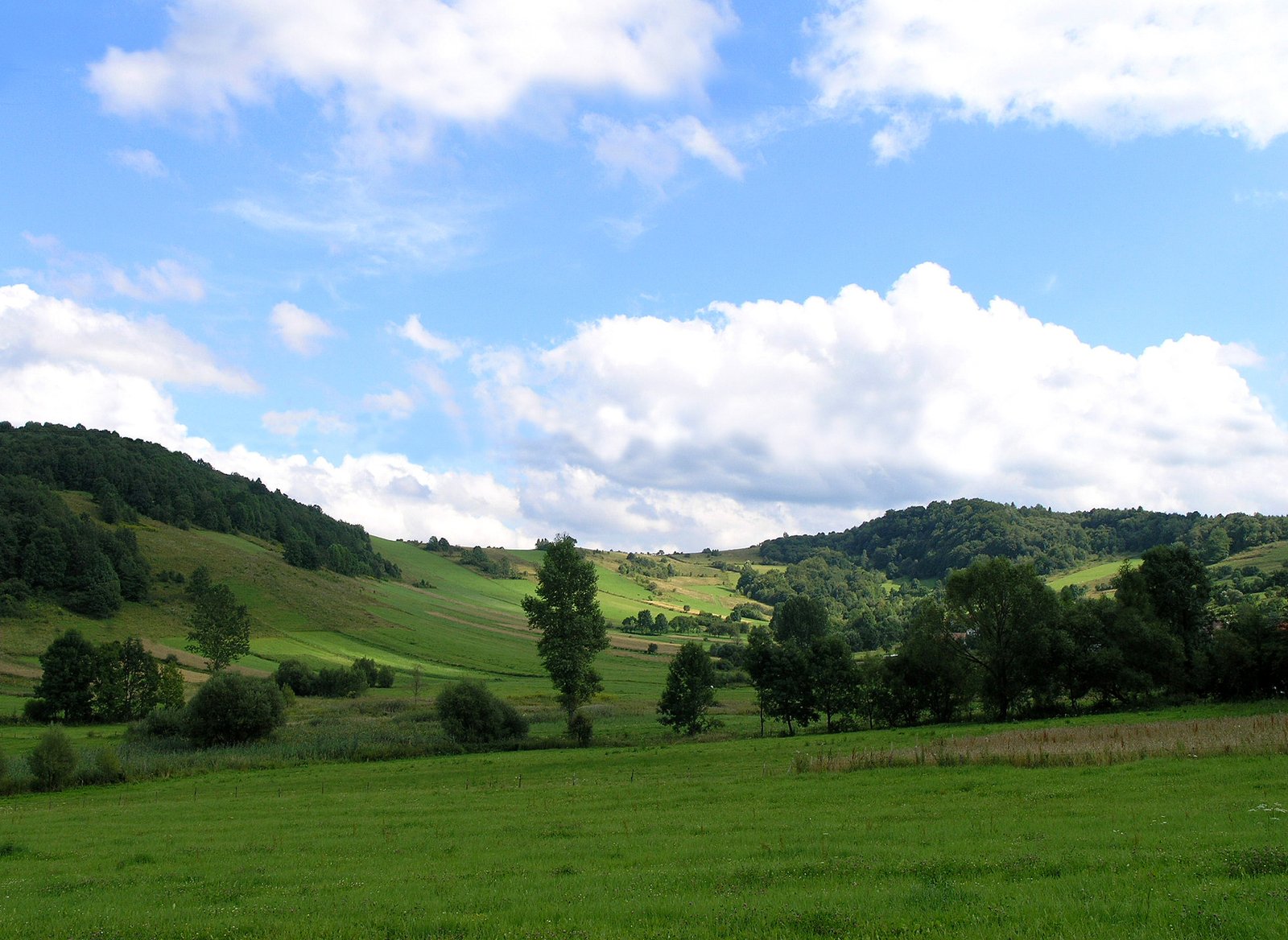 this is a picture of a grassy field and some hills