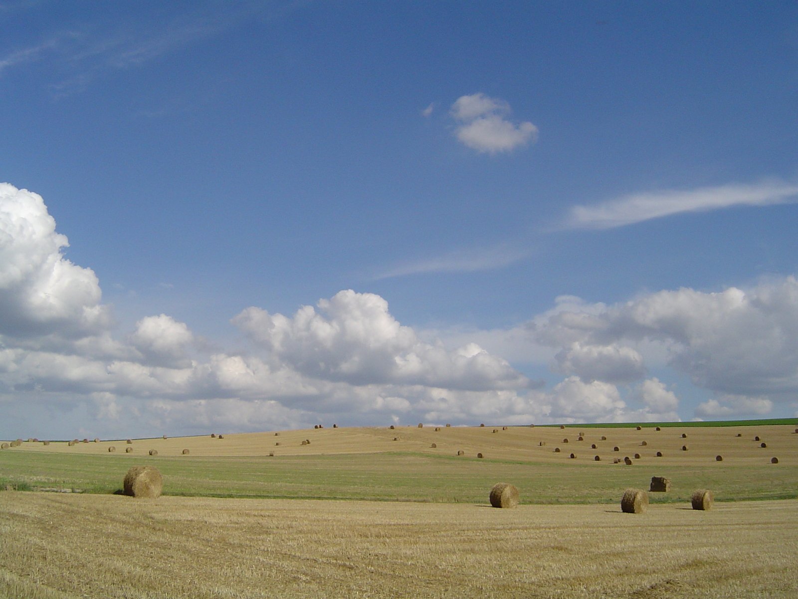 bales of hay are scattered in a large field on a partly cloudy day