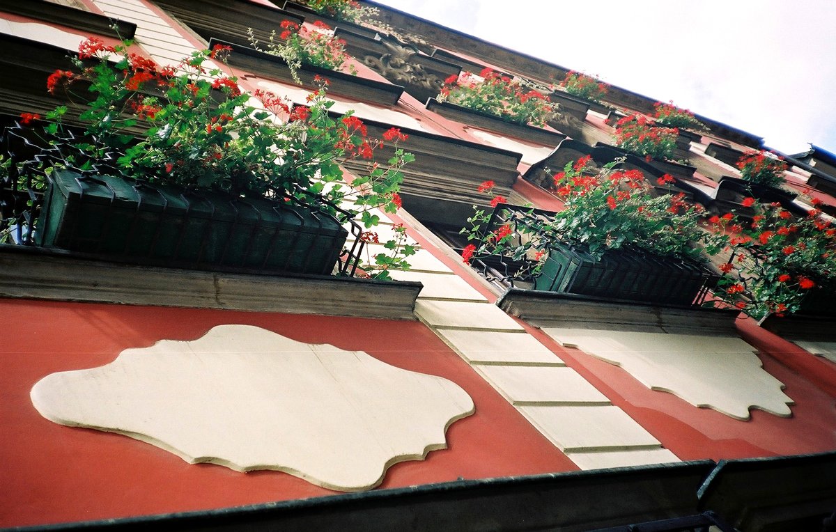 a bunch of flowers that are on the outside of a building