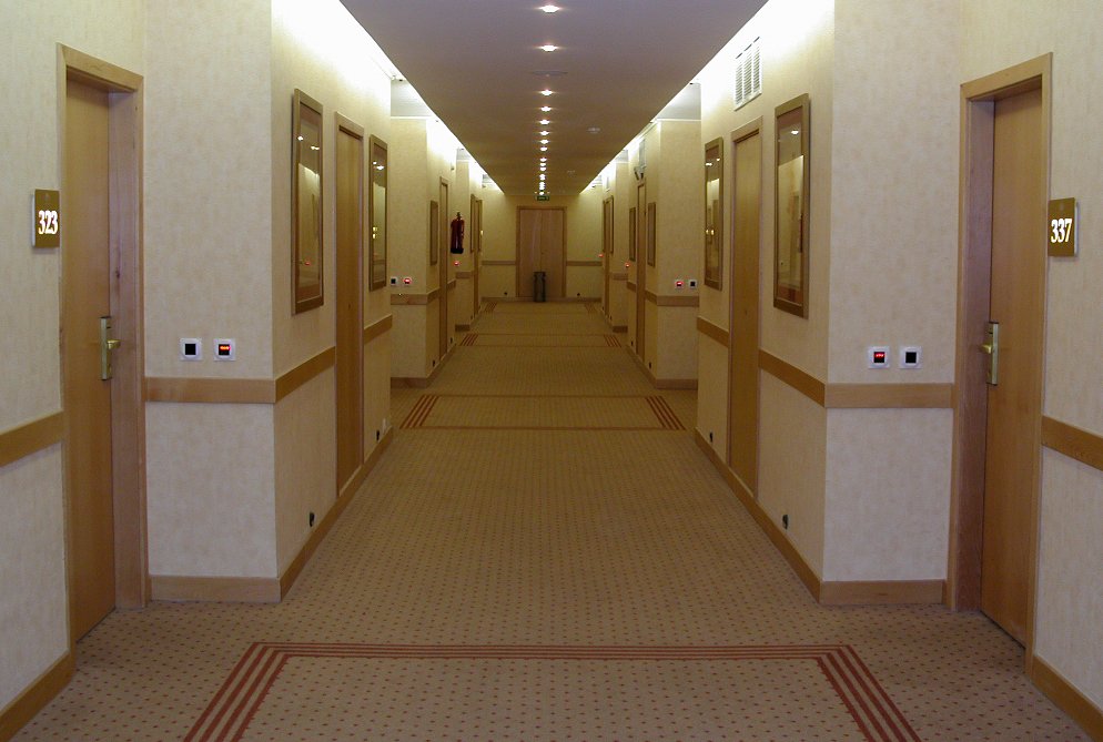 an empty hallway with door s and carpeted floor