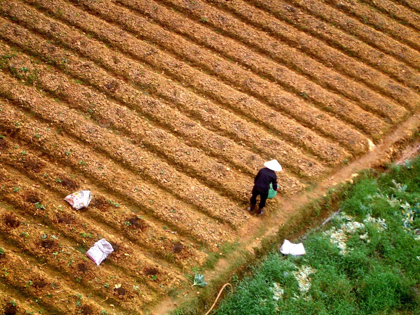 a farmer standing on his farm land