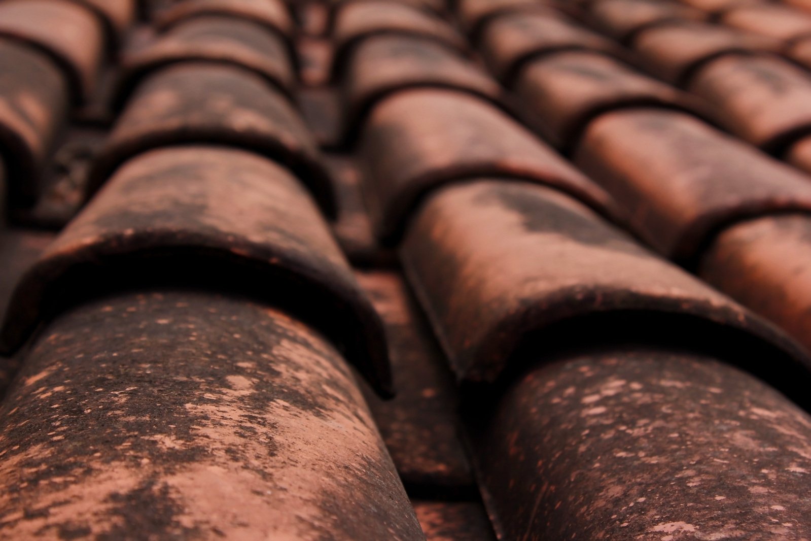 a group of red clay tiles is shown in close up