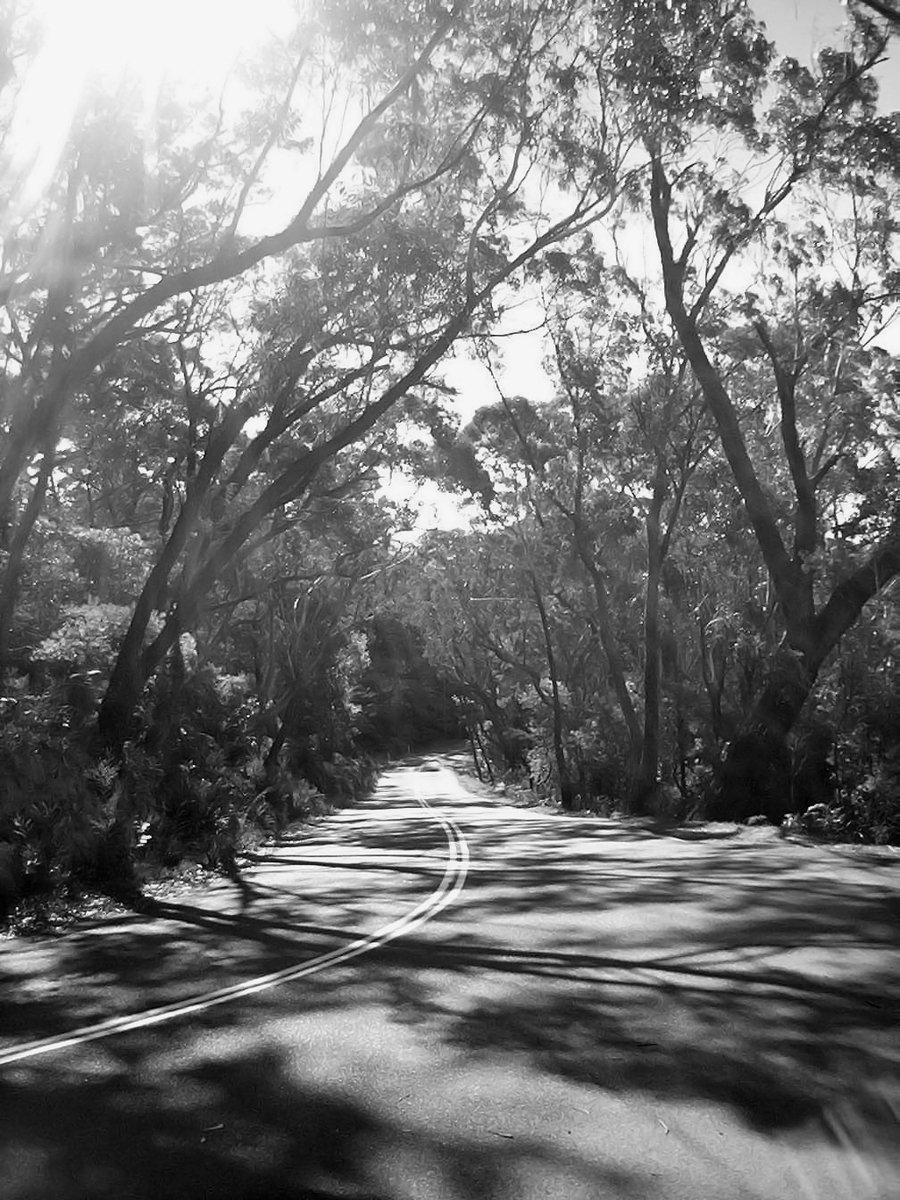 a long road with trees near the center