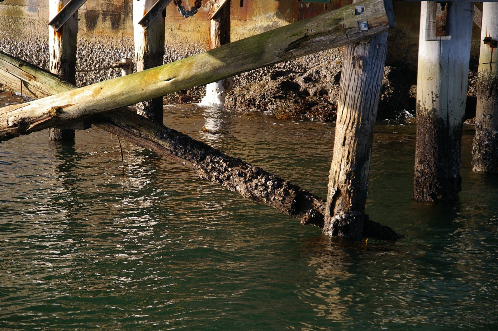 some kind of pier that looks like it was built over water