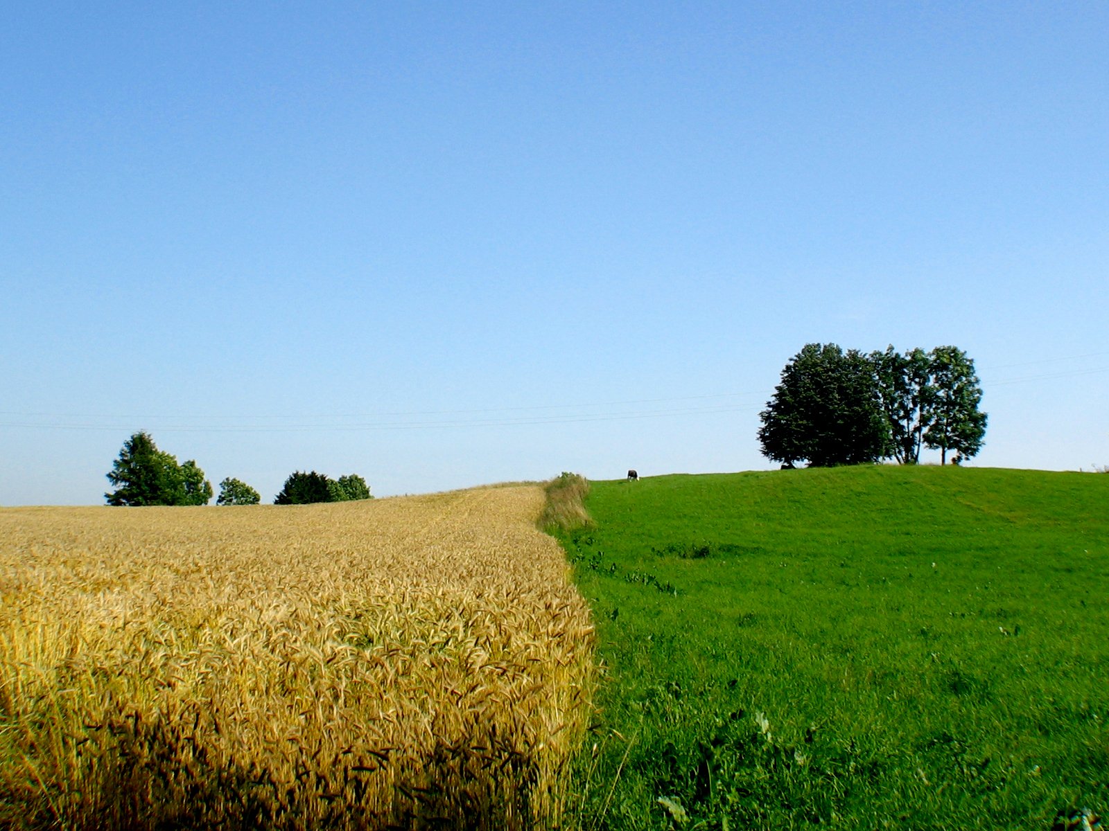 two pictures of a field that is divided into two sides