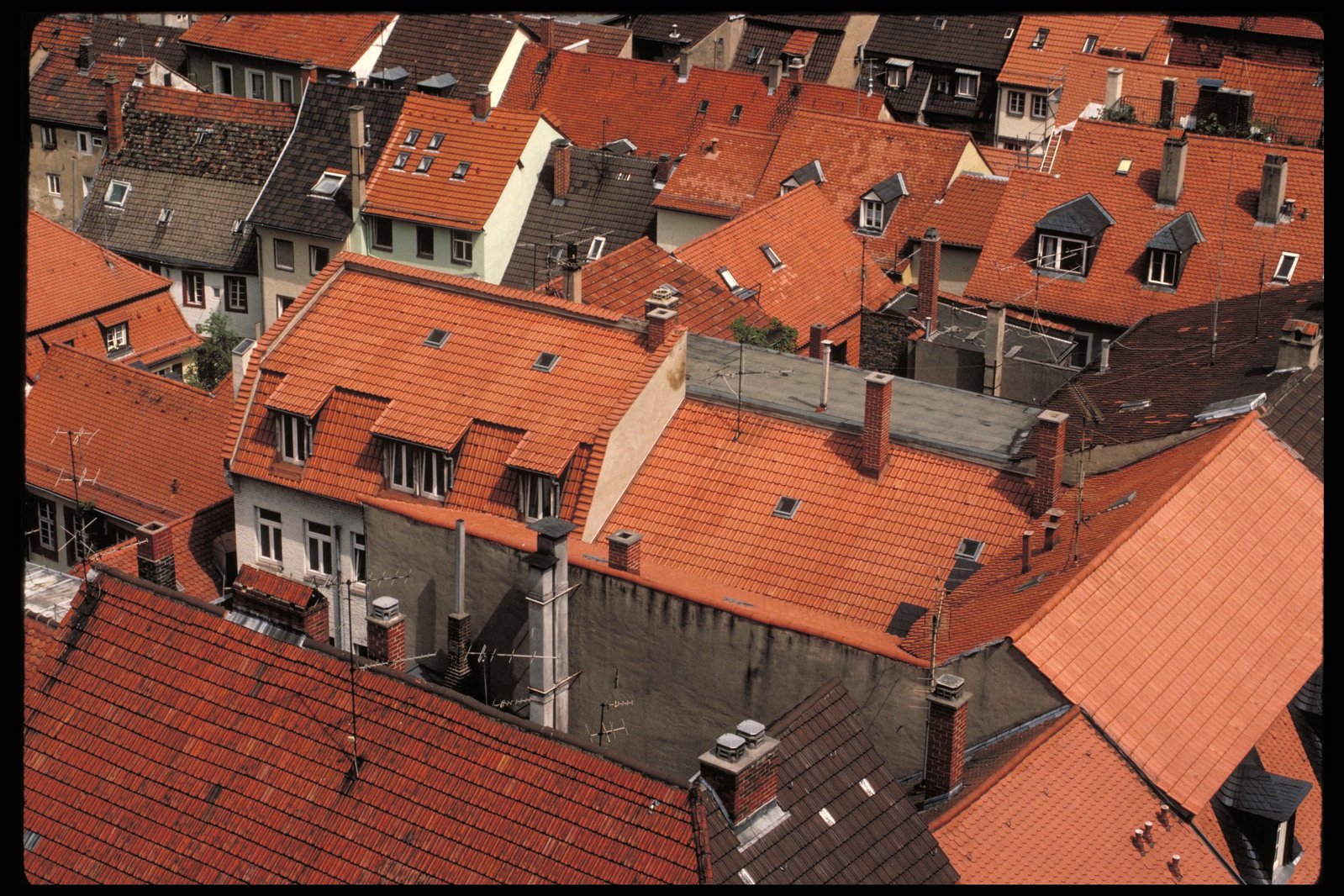 a red tiled roof tops houses near water