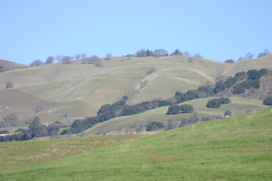 the mountains are green and lush with grass