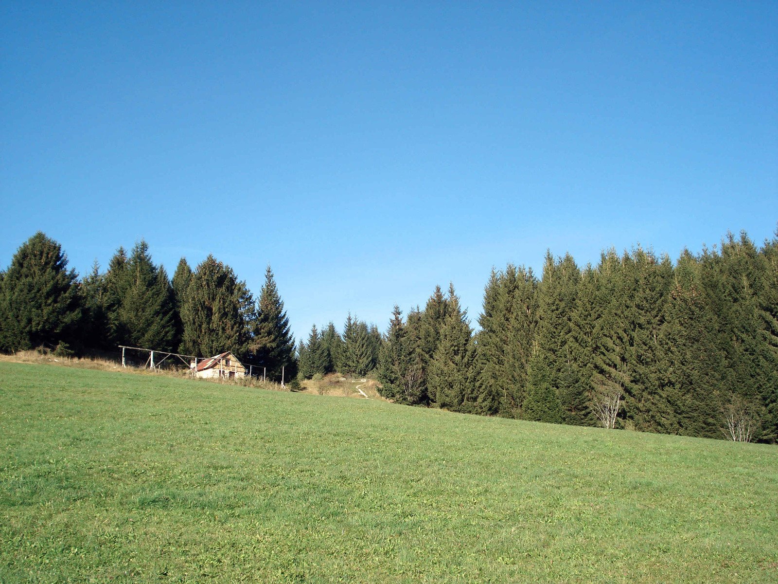 a green field with some houses on top of it