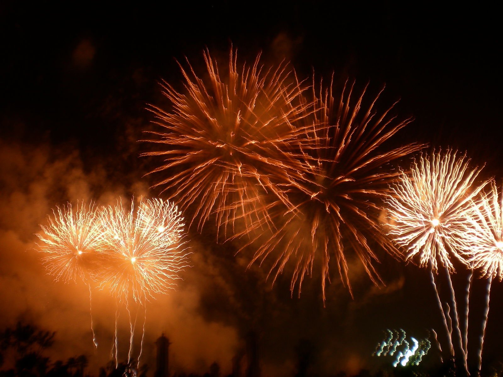fireworks and fireworks explodes in the night sky