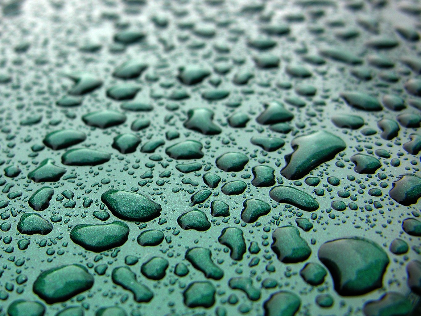 a textured surface with lots of drops of water