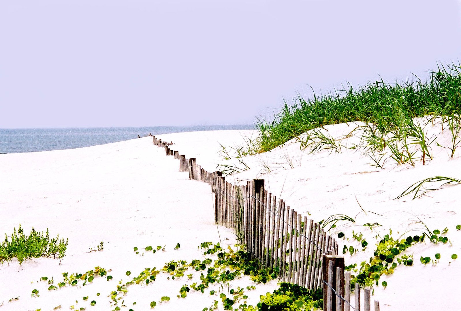 an ocean beach with green grass on the sand and a wooden fence