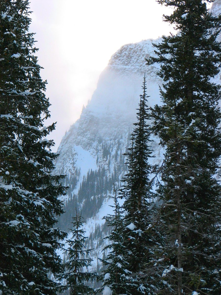 a view of the mountain top from a wooded area