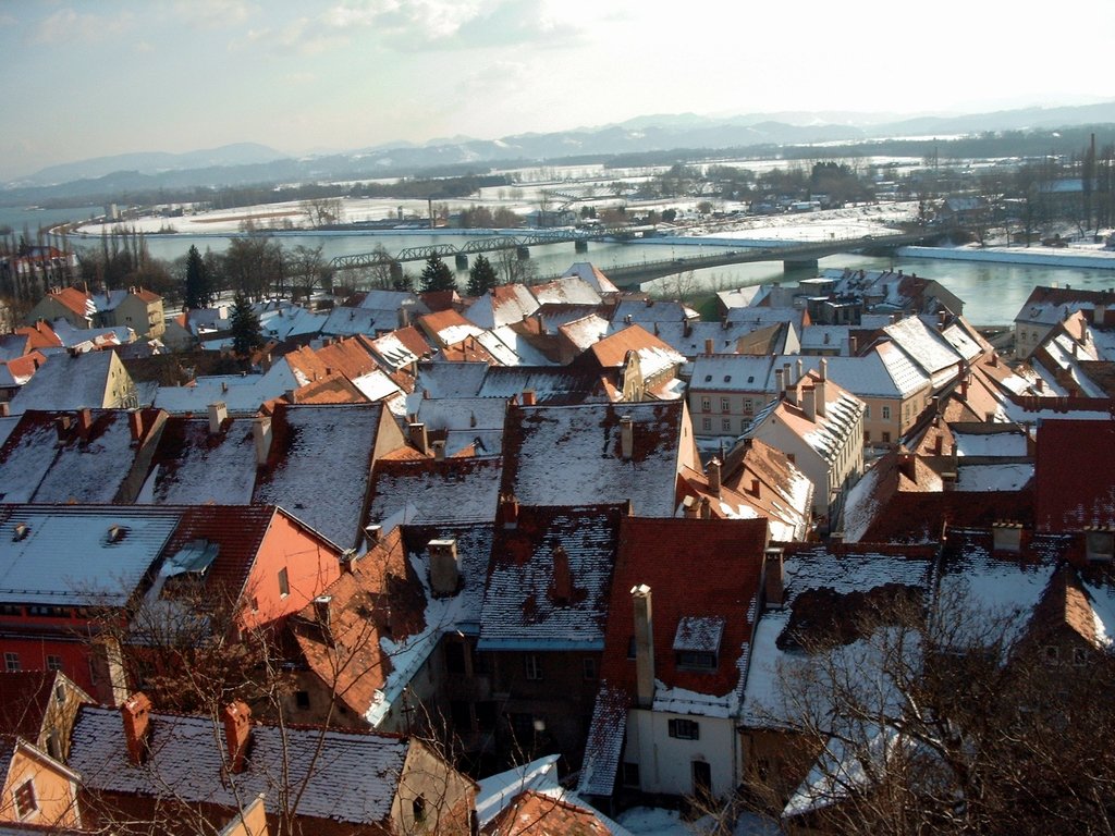 many roofs are covered with snow and bushes