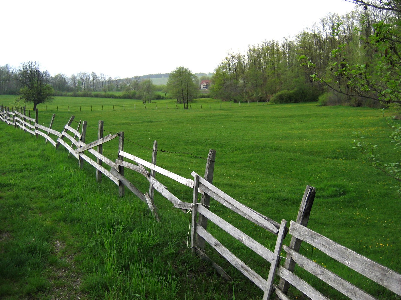 a row of split rail farm fences on a grassy field