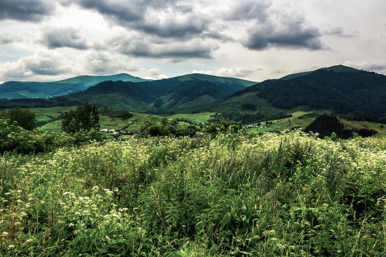 the valley in the distance looks quite green